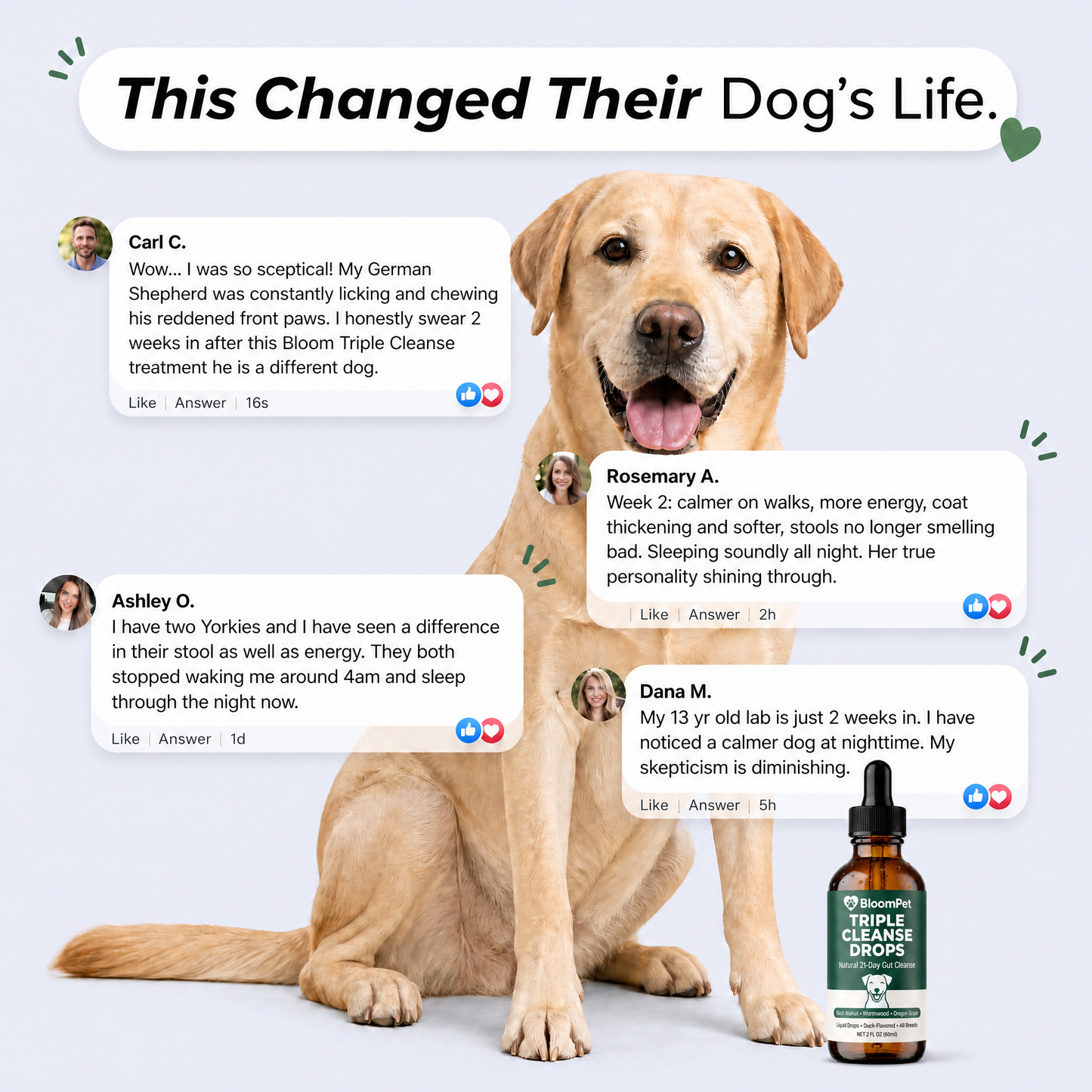 Bloom Triple Parasite Cleanse - 50% OFF