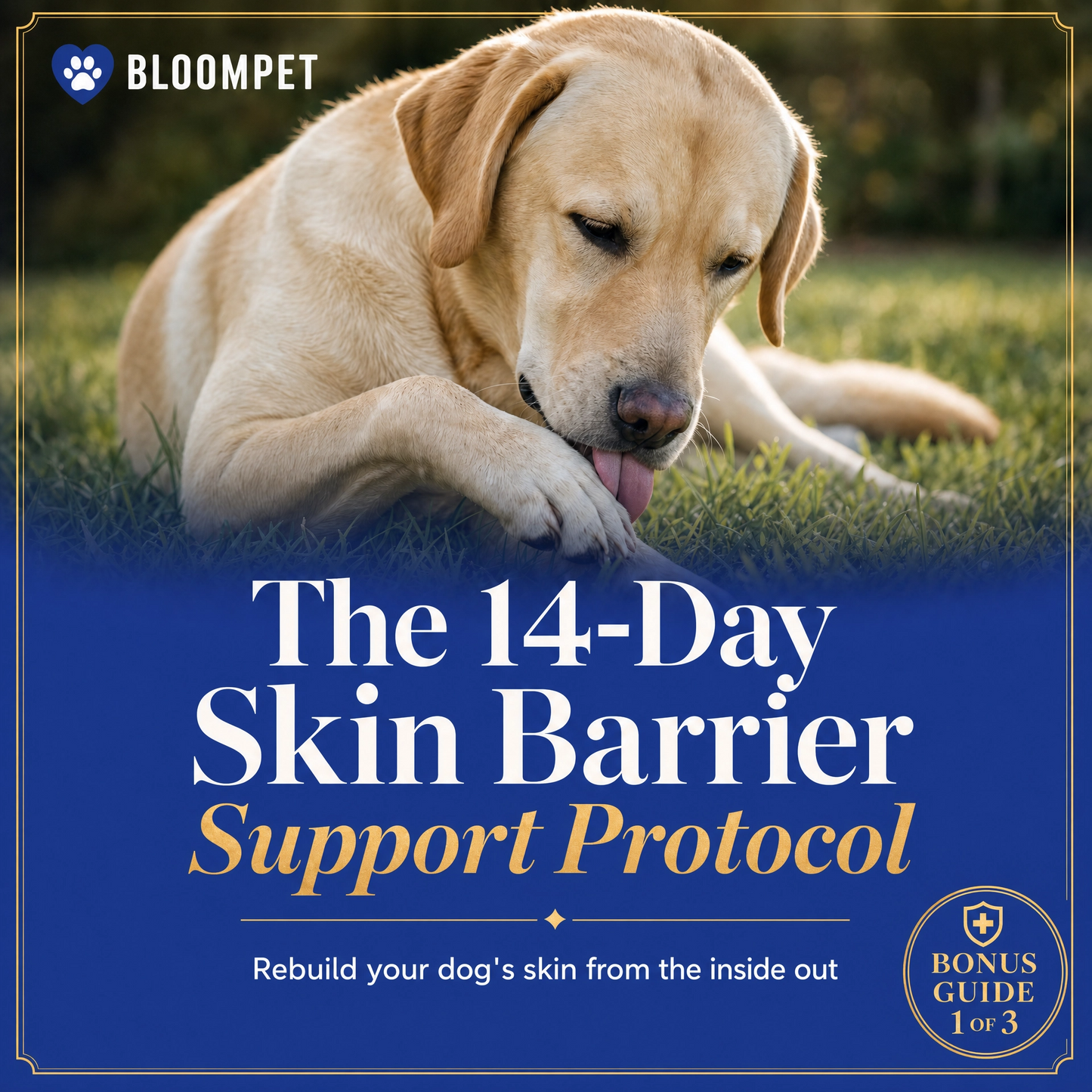 The 14-Day Skin Barrier Support Protocol