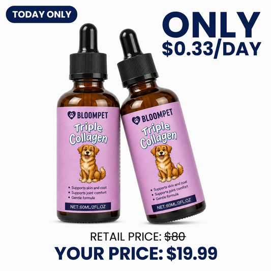 2x Bloom Triple Collagen (Shelter Pricing)