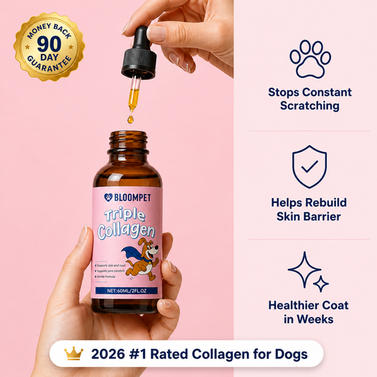 Bloom Triple Collagen - Mother's Day Special