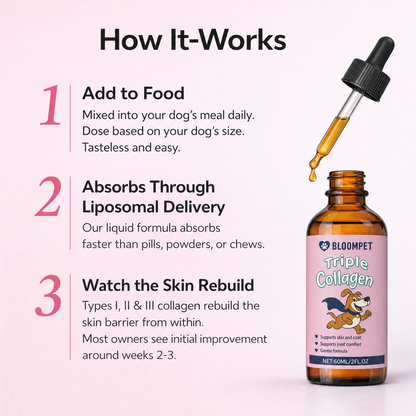 Bloom Triple Collagen