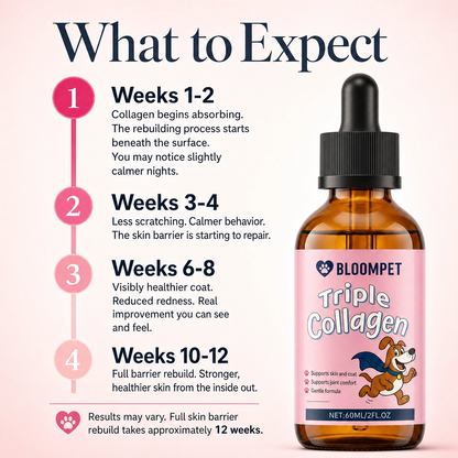 Bloom Triple Collagen
