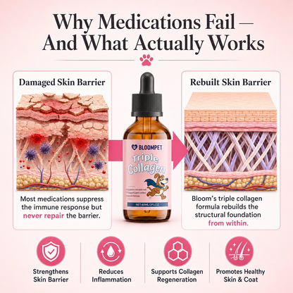 Bloom Triple Collagen