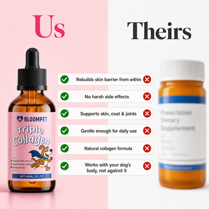 Bloom Triple Collagen