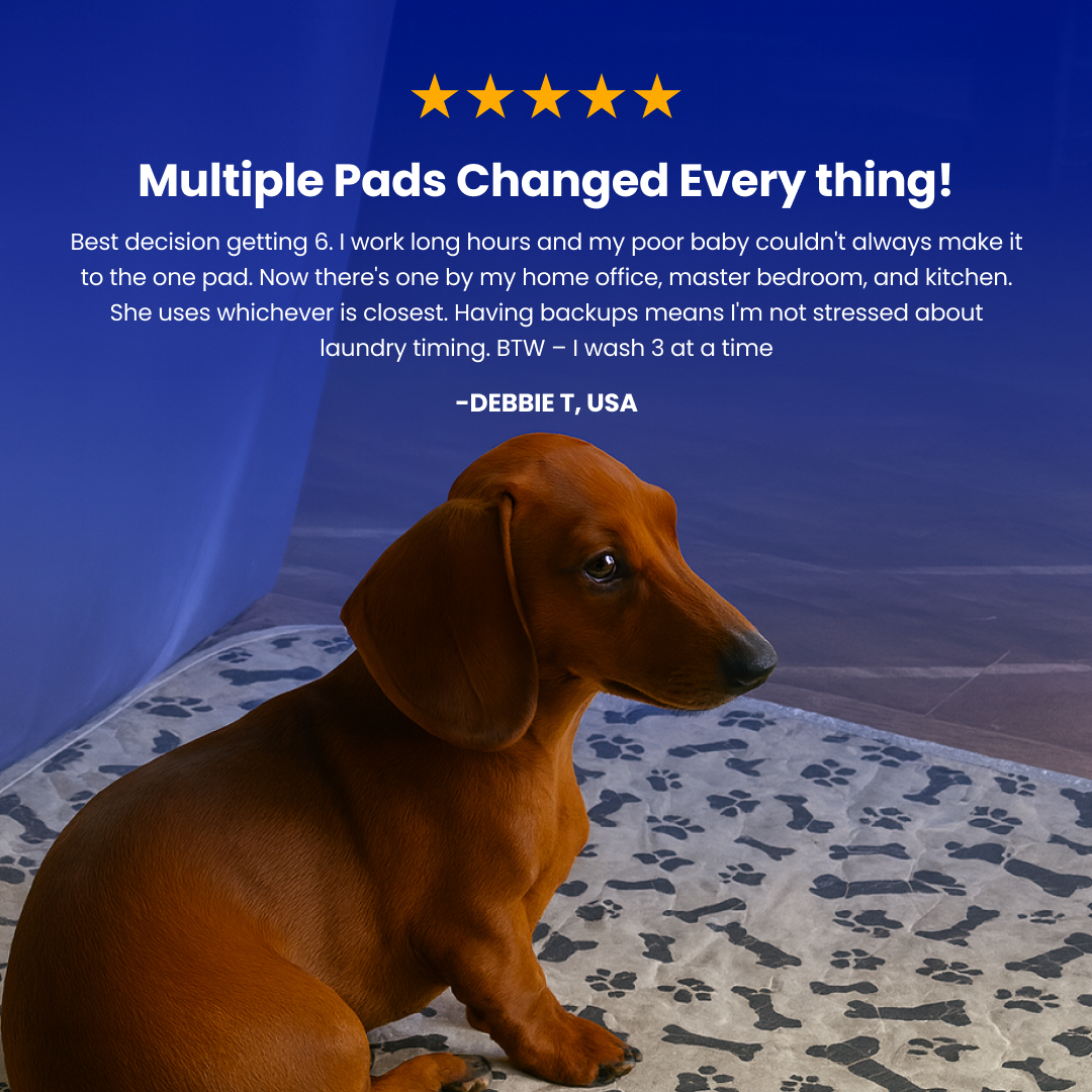 ShelterPad - The Reusable Pad Dogs Find Without Training