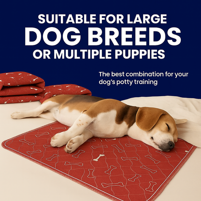 ShelterPad - The Reusable Pad Dogs Find Without Training