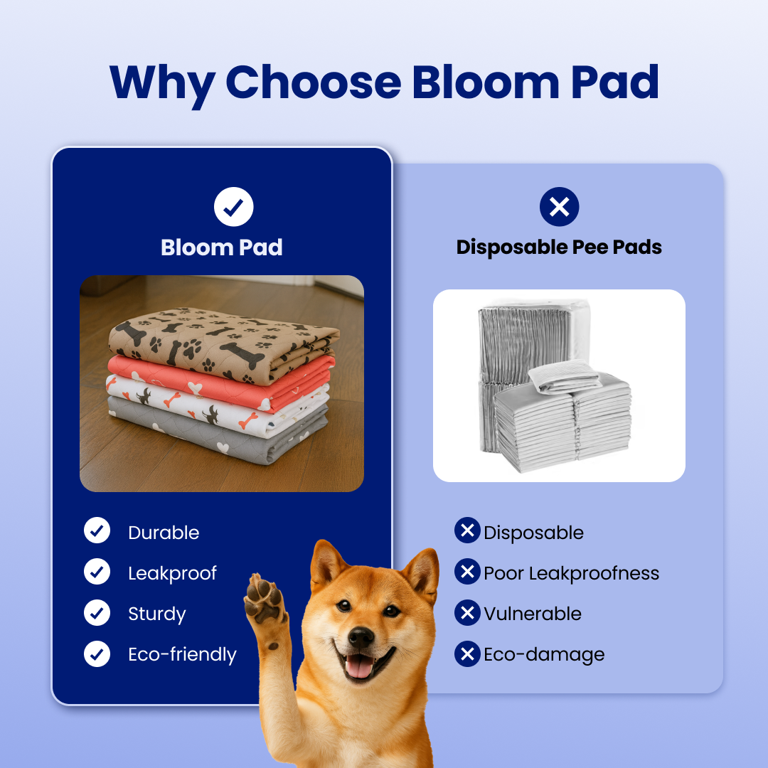 ShelterPad - The Reusable Pad Dogs Find Without Training