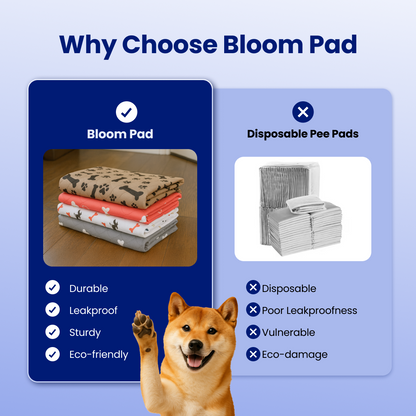 ShelterPad - The Reusable Pad Dogs Find Without Training