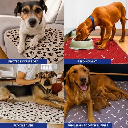 ShelterPad - The Reusable Pad Dogs Find Without Training