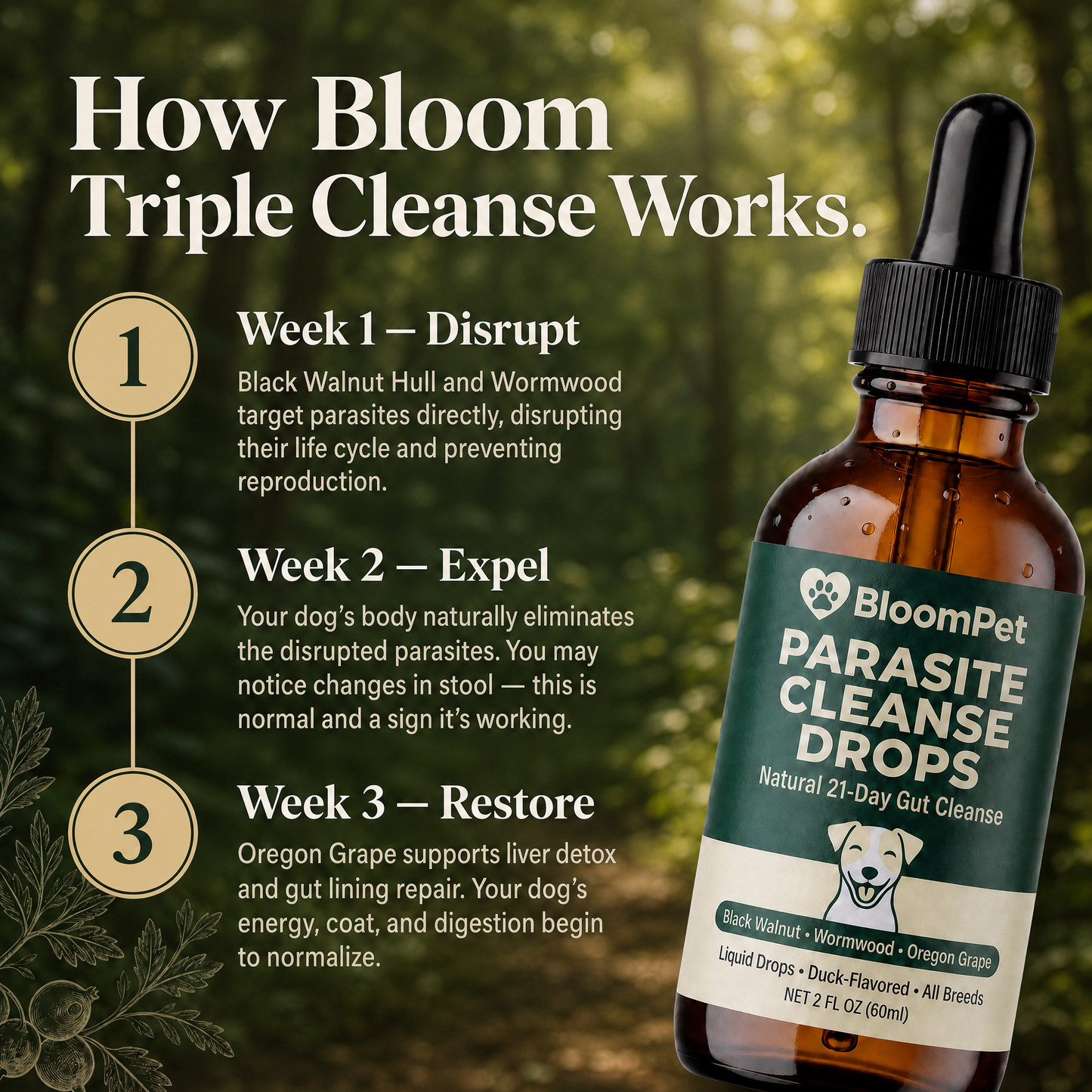 Bloom Triple Parasite Cleanse