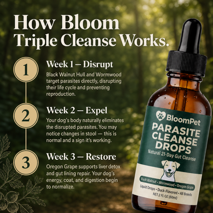 Bloom Triple Parasite Cleanse