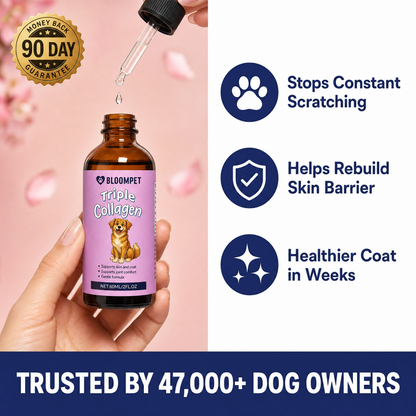 Bloom Triple Collagen