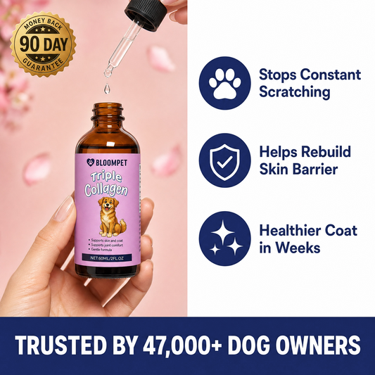 Bloom Triple Collagen