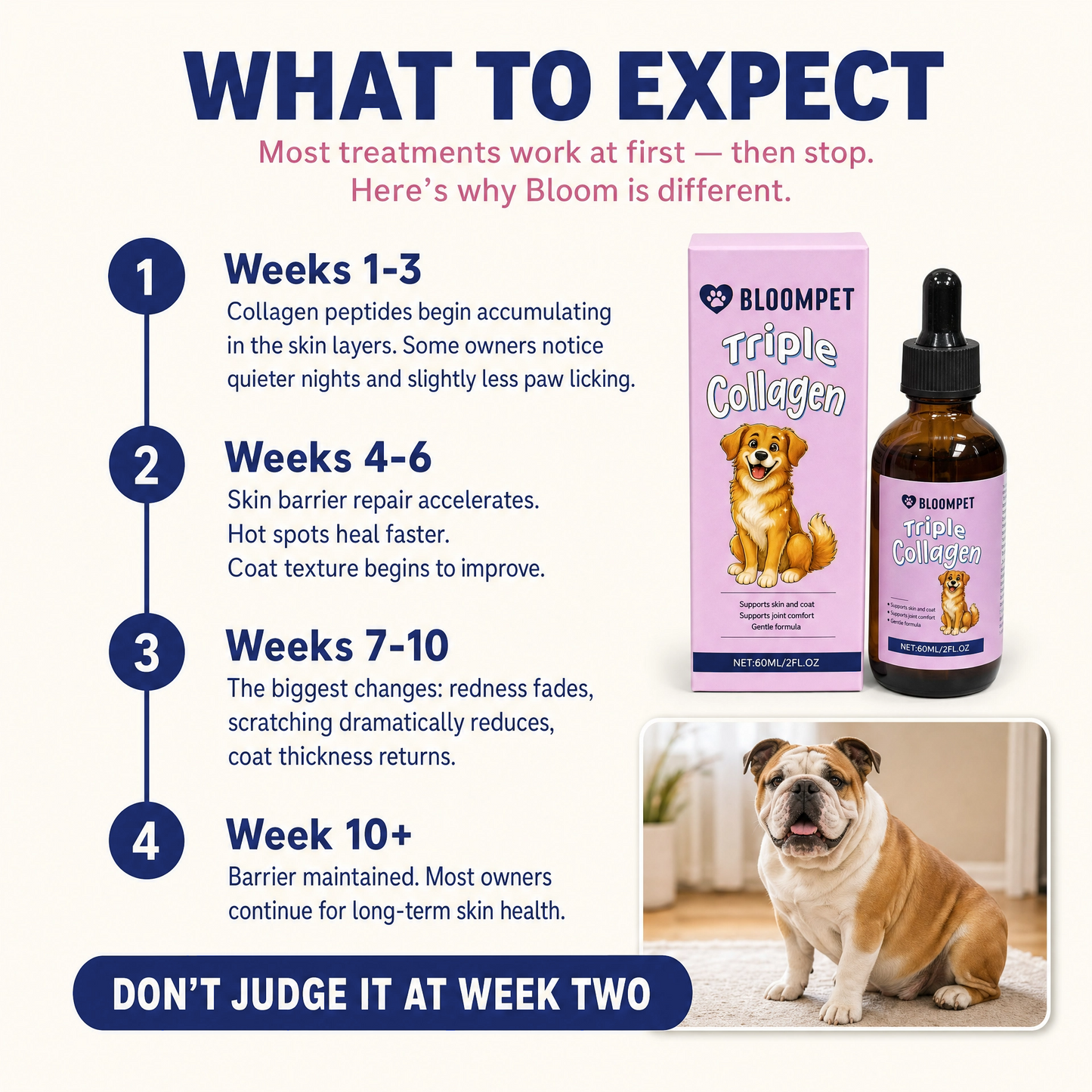 Bloom Triple Collagen - Summer Sale