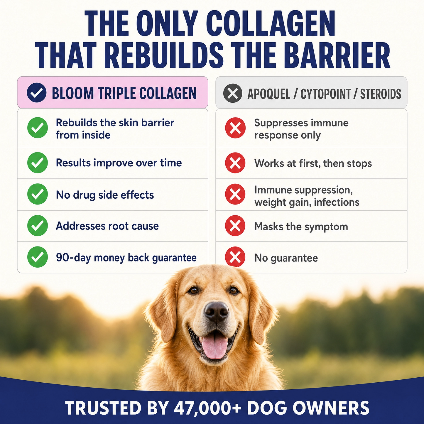 Bloom Triple Collagen