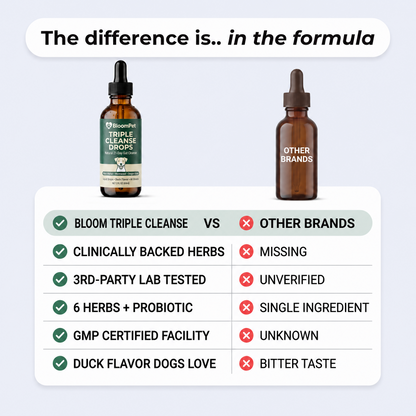 Bloom Triple Parasite Cleanse - 50% OFF