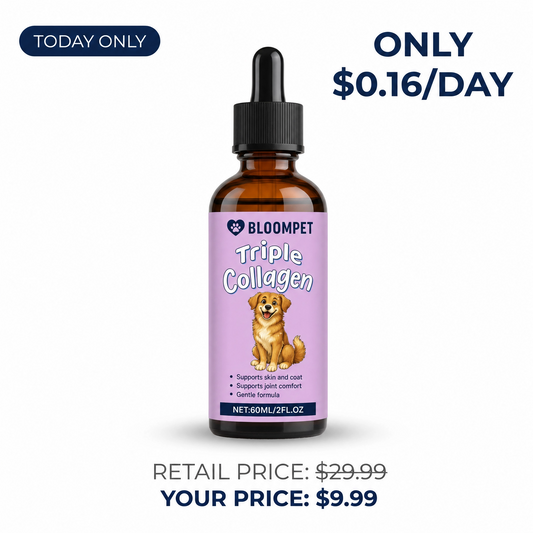 1x Bloom Triple Collagen (Lowest Price)