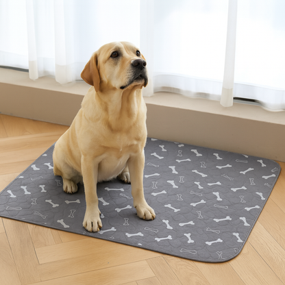 ShelterPad - The Reusable Pad Dogs Find Without Training