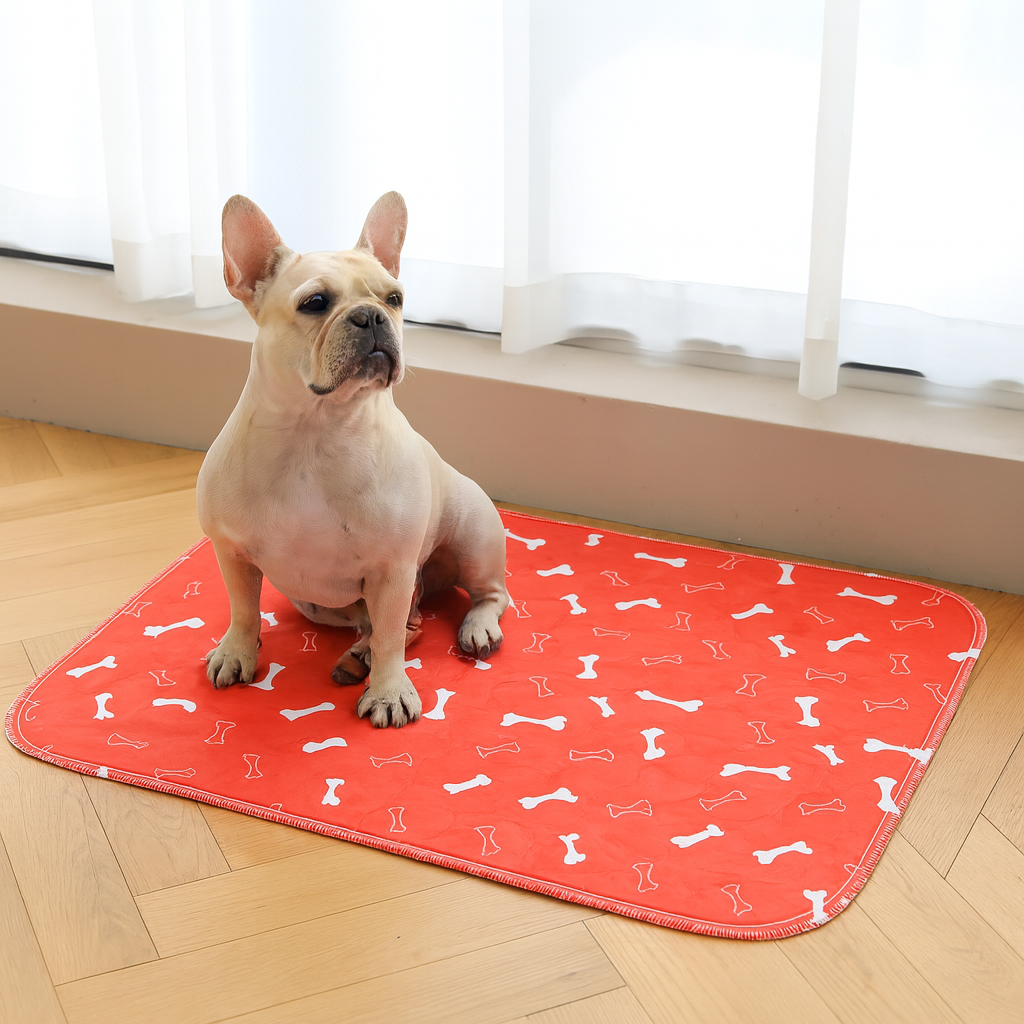 ShelterPad - The Reusable Pad Dogs Find Without Training