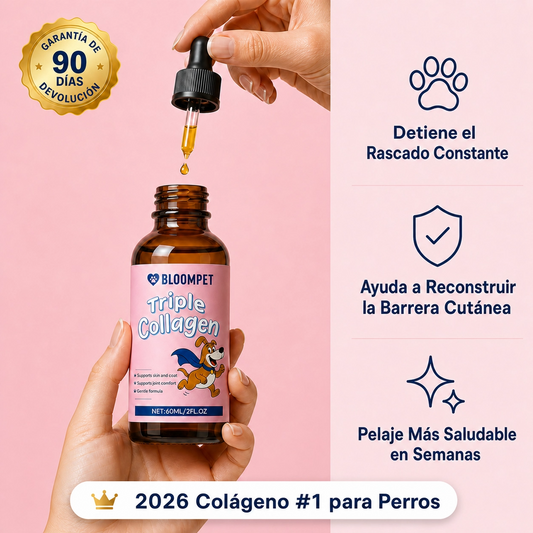 Bloom Triple Collagen 2026