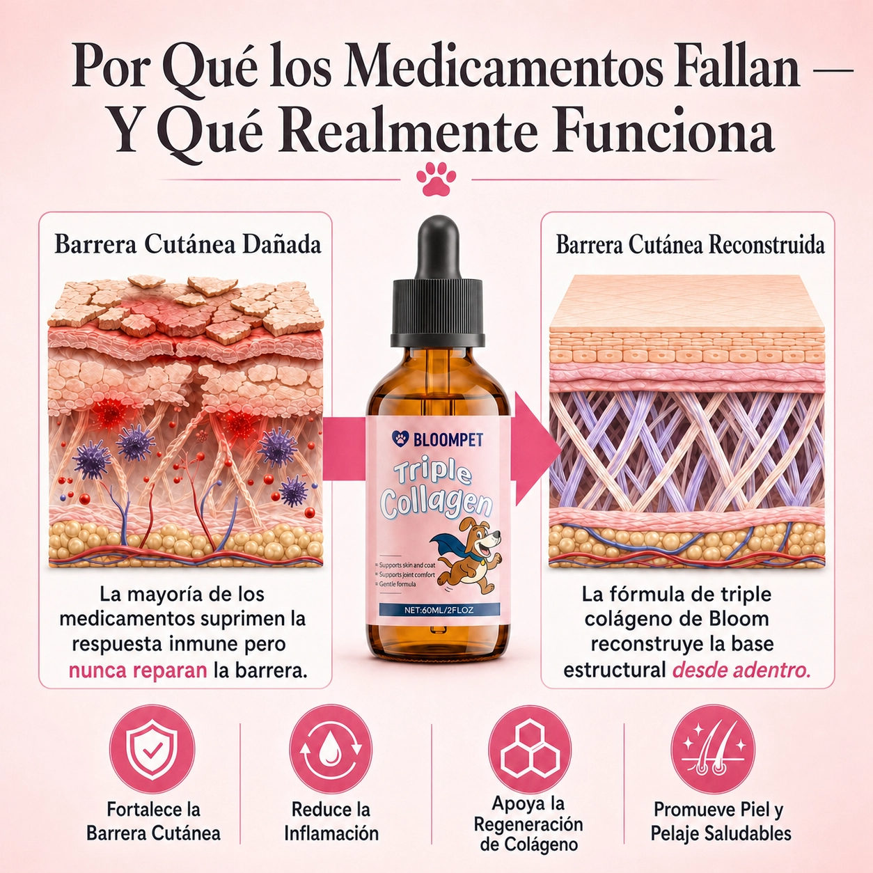 Bloom Triple Collagen 2026